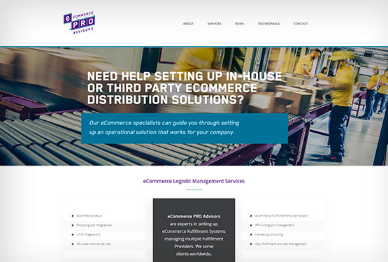 eCommerce Pro Advisors Website & CMS